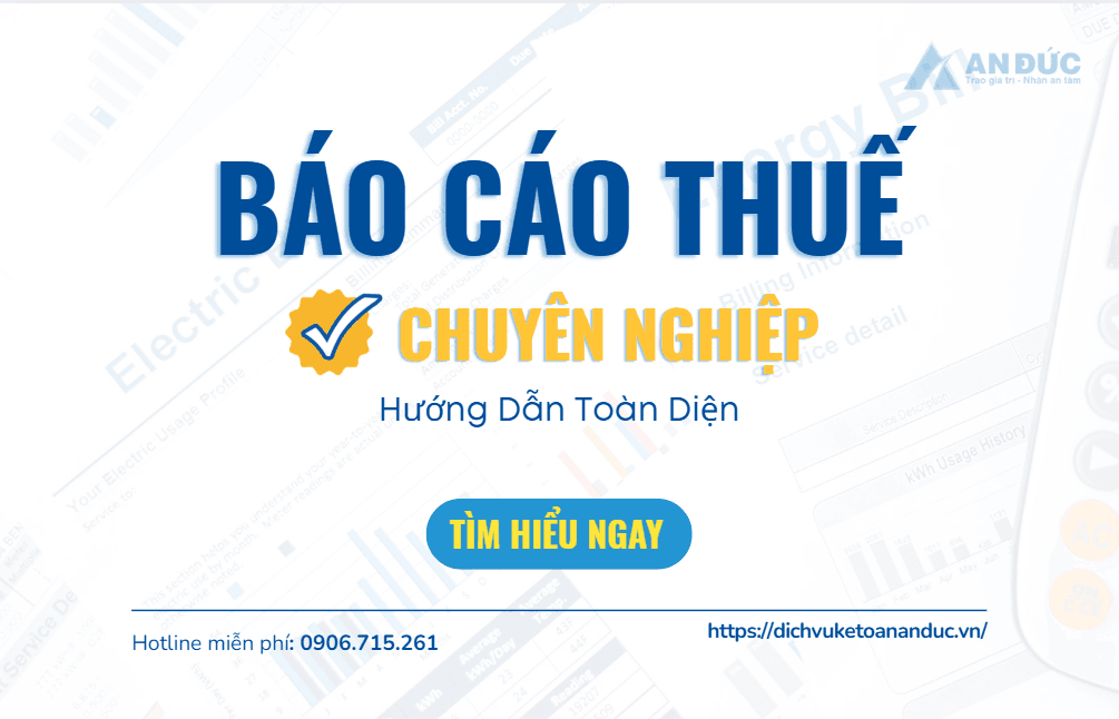 Báo cáo thuế chuyên nghiệp