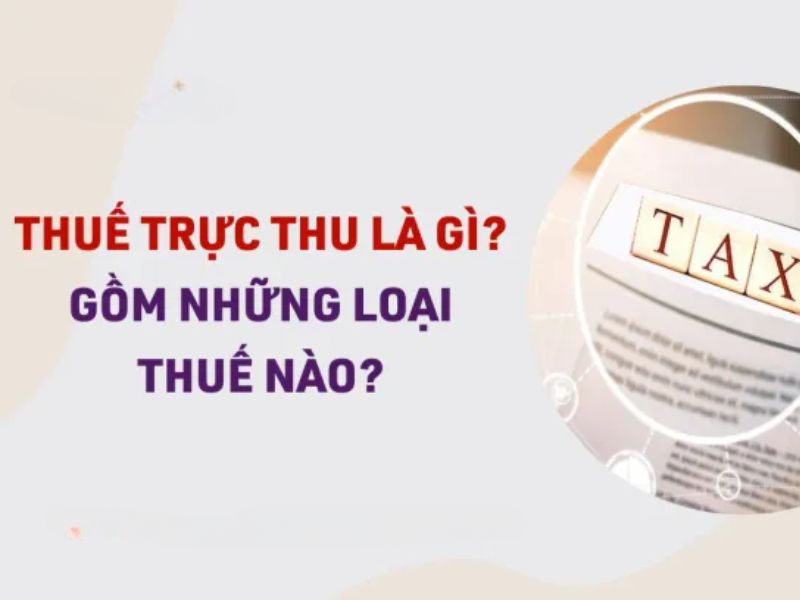 Thế nào là thuế trực thu? 